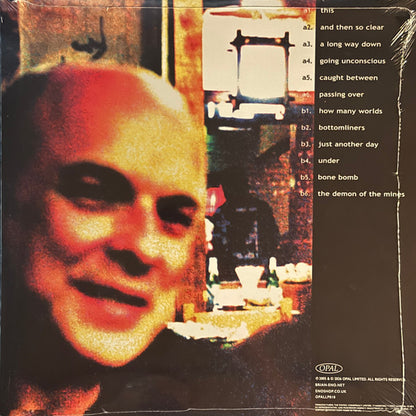 Brian Eno : Another Day On Earth (LP, Album, RE, Tra)