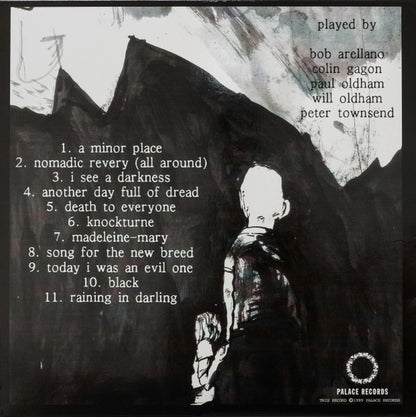 Bonnie "Prince" Billy : I See A Darkness (LP, Album)