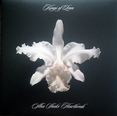 Kings Of Leon : Aha Shake Heartbreak (2xLP, Album, Gat)