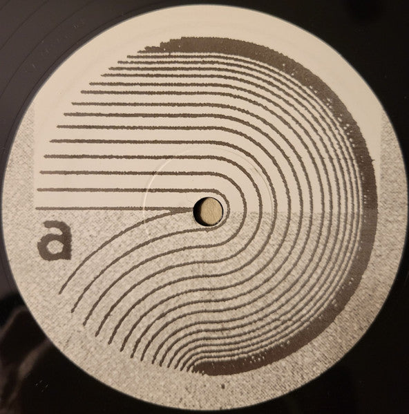 Bitchin Bajas : Bitchitronics (LP)