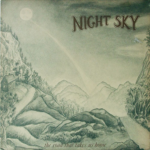 Night Sky (2) : The Road That Takes Us Home (LP)