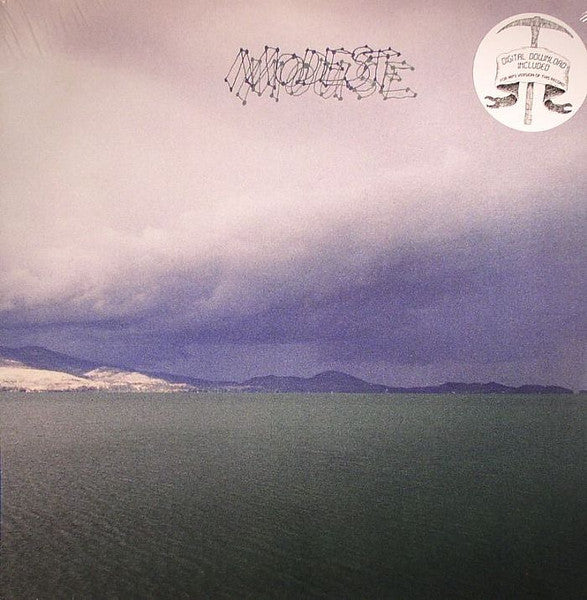 Modest Mouse : The Fruit That Ate Itself (12", EP, RE)
