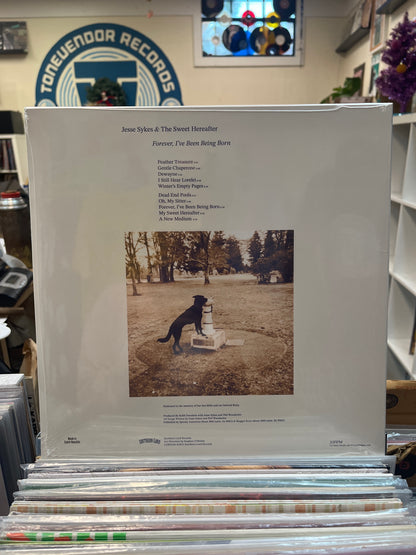 Jesse Sykes & The Sweet Hereafter-Forever, I've Been Being Born RSD Black Friday 2025 LP