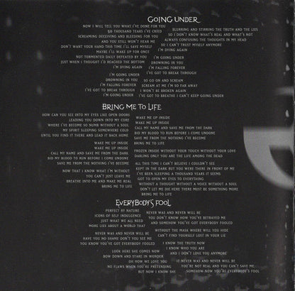 Evanescence : Fallen (CD, Album)