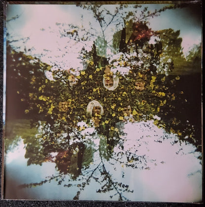 Shannon And The Clams : Gone By The Dawn (LP, Album)