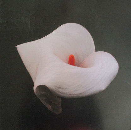 Infinity Girl : Harm (LP, Album, Ltd, Cle)