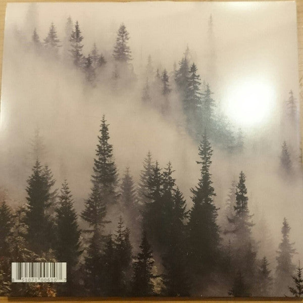 Daktyl : Cyclical (LP, Album)