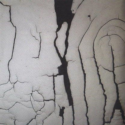 Death Grips : Bottomless Pit (CD, Album)