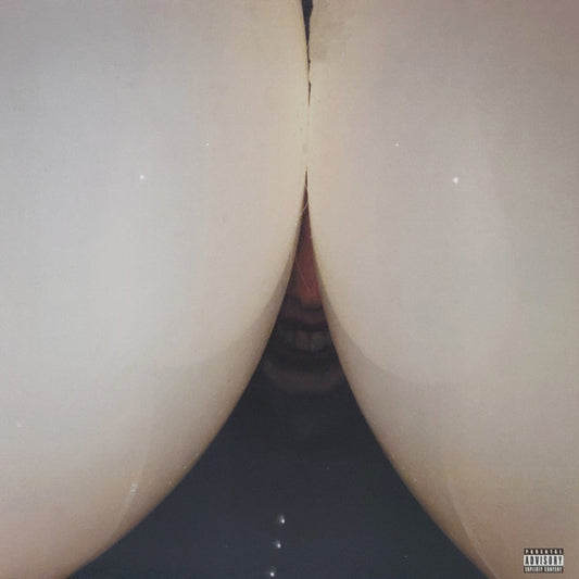 Death Grips : Bottomless Pit (LP, Album)