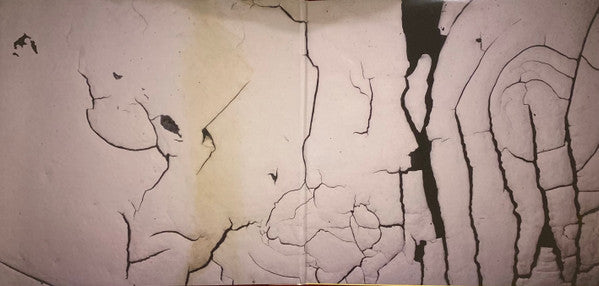 Death Grips : Bottomless Pit (LP, Album)
