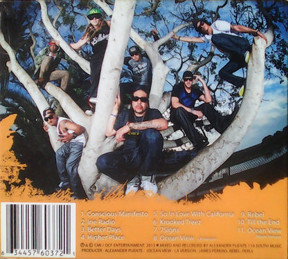 Krooked Treez : Higher Place (CD, Album)