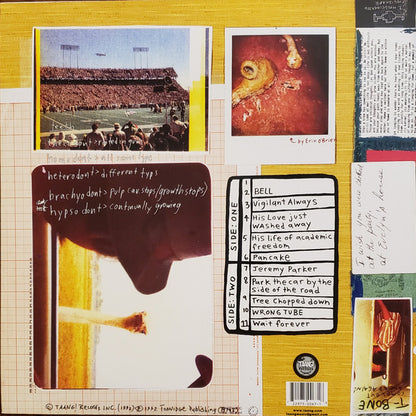 Swirlies : Blonder Tongue Audio Baton (LP, Album, RP)