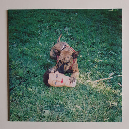 Joyce Manor : Cody (LP, Album)