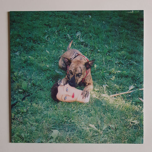 Joyce Manor : Cody (LP, Album)