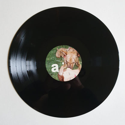 Joyce Manor : Cody (LP, Album)