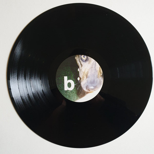 Joyce Manor : Cody (LP, Album)