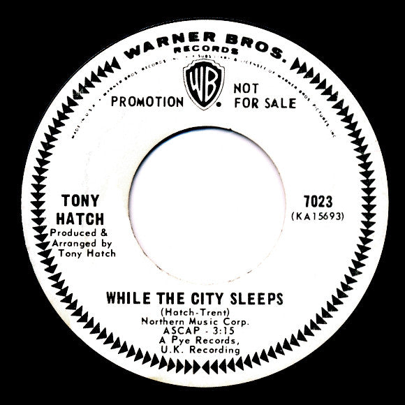 Tony Hatch : Beautiful In The Rain / While The City Sleeps (7", Promo)