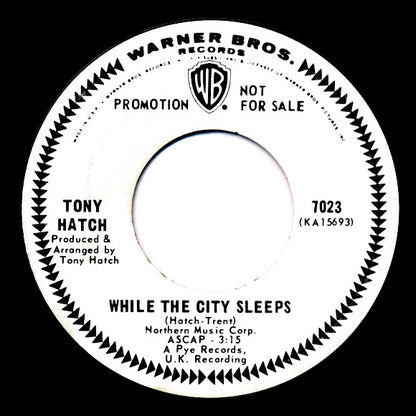 Tony Hatch : Beautiful In The Rain / While The City Sleeps (7", Promo)