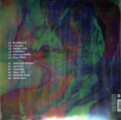 Frank Carter & The Rattlesnakes : Modern Ruin (LP, Album, Cle)