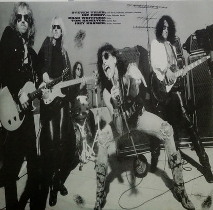 Aerosmith : Get A Grip (2xLP, Album, RE, 180)