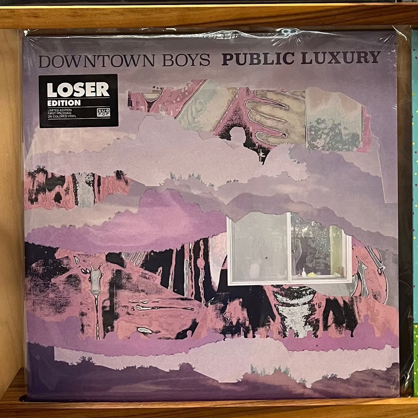 Downtown Boys - Public Luxury LP