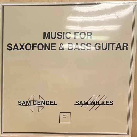 Sam Gendel - Music For Saxofone & Bass Guitar LP