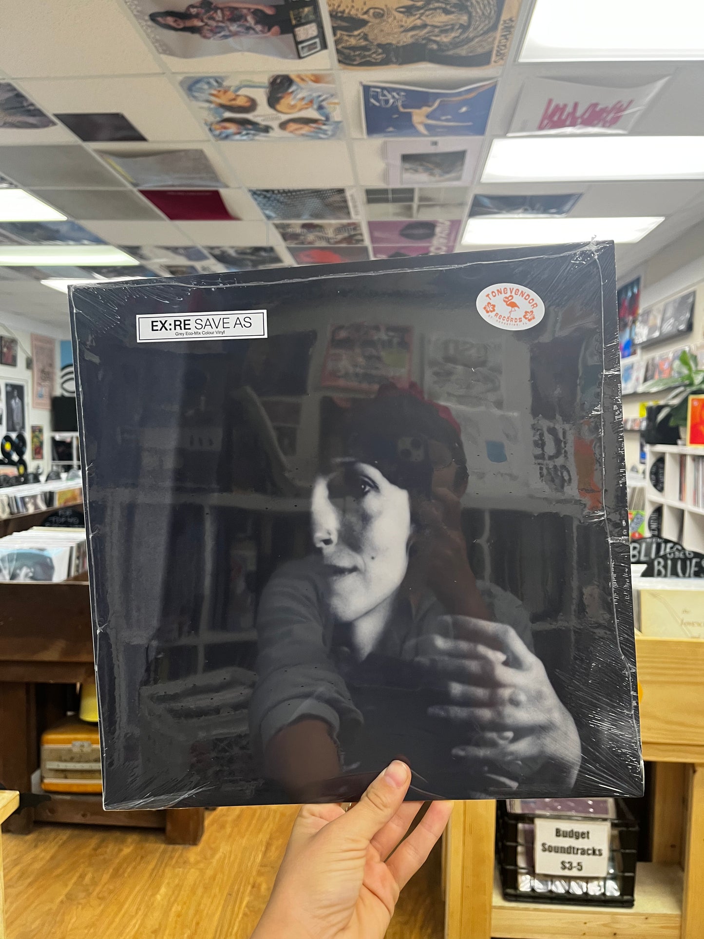Ex:RE Save As (Grey Eco-Mix Colour Vinyl) LP