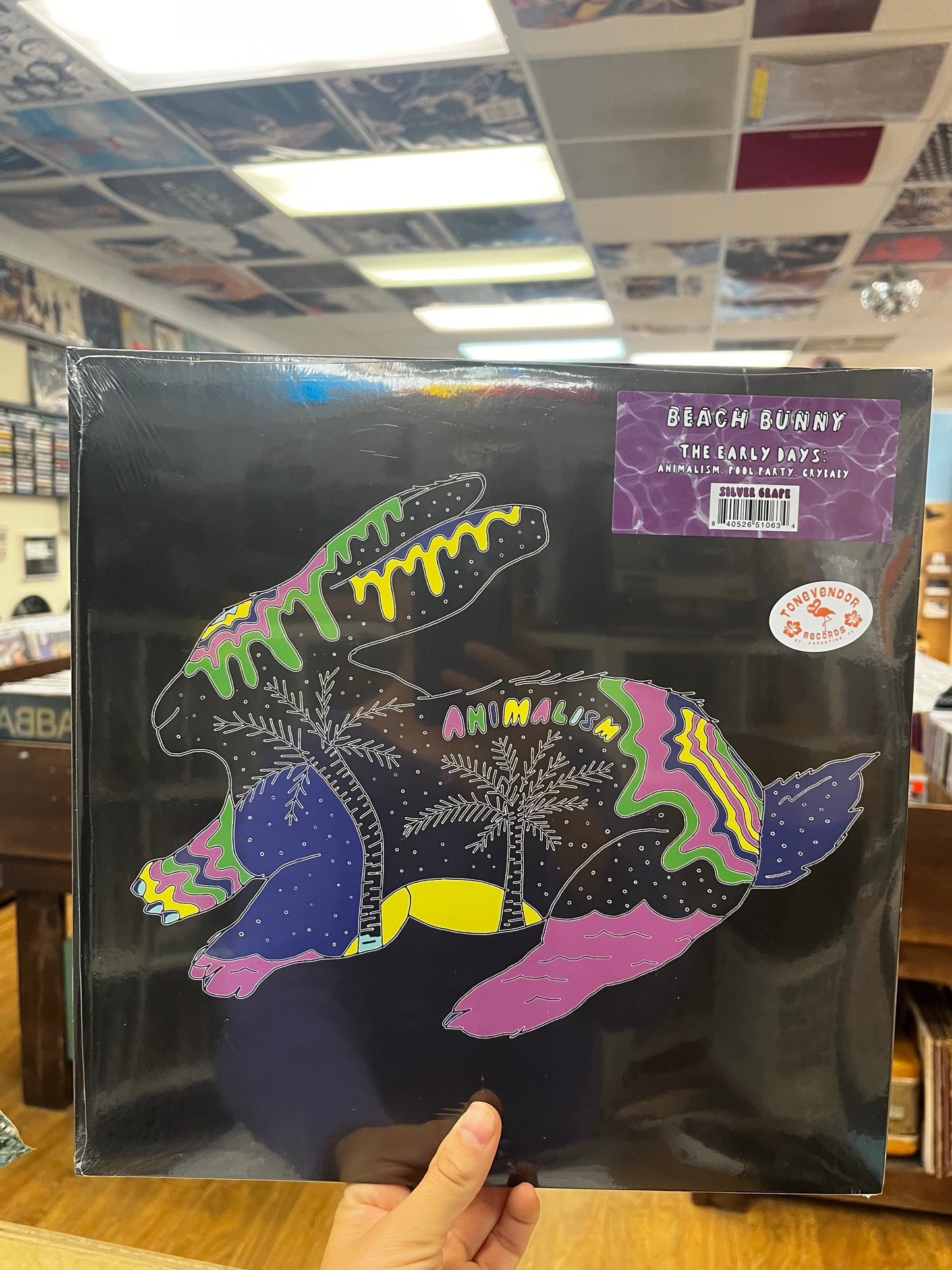 Beach Bunny - The Early Days (Silver Grape Vinyl) 2xLP