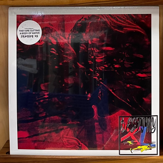 They Are Gutting A Body Of Water - Destiny XL LP