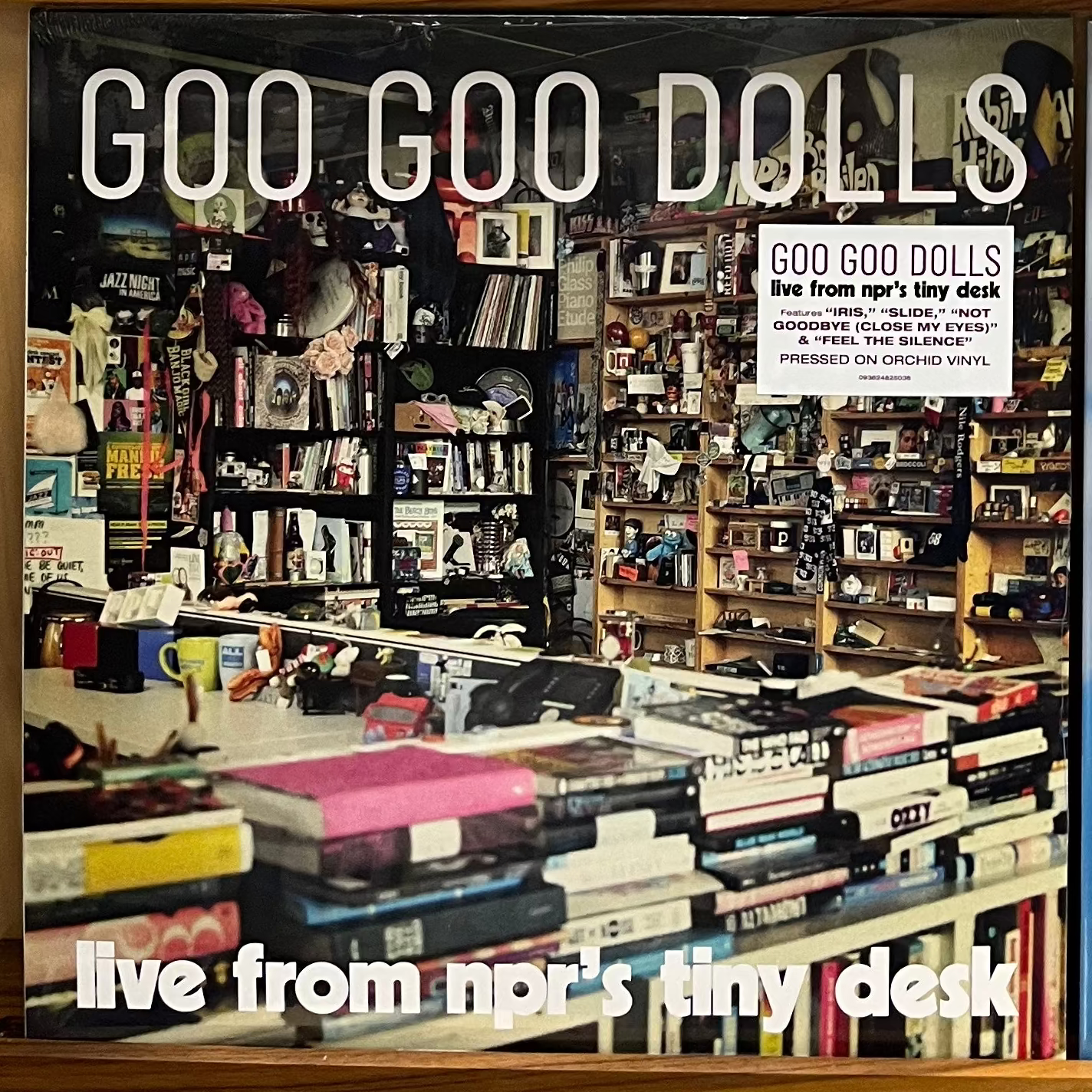 Goo Goo Dolls - Live From NPR's Tiny Desk LP