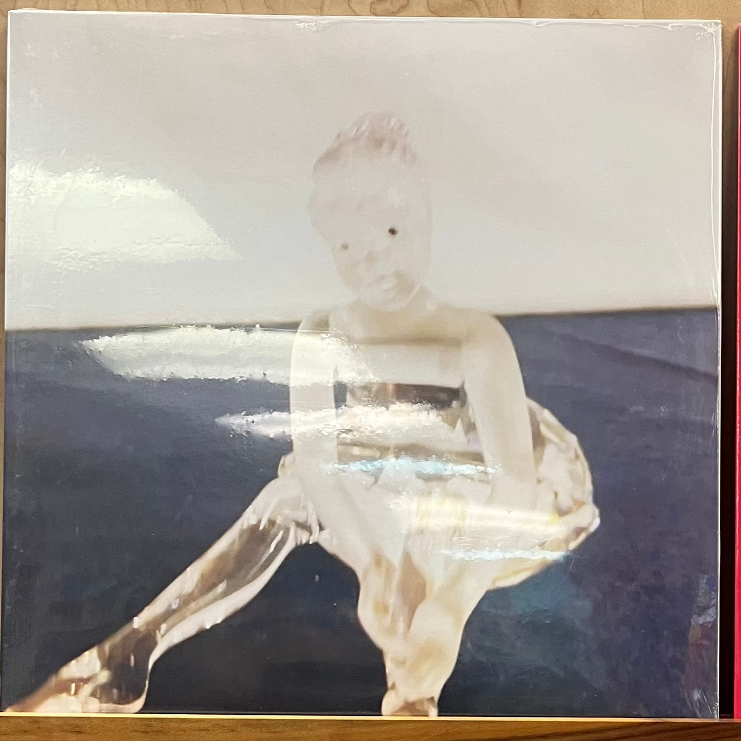 Victoryland - My Heart Is A Room With No Cameras In It LP