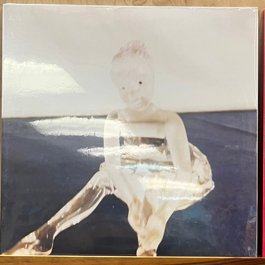 Victoryland - My Heart Is A Room With No Cameras In It LP