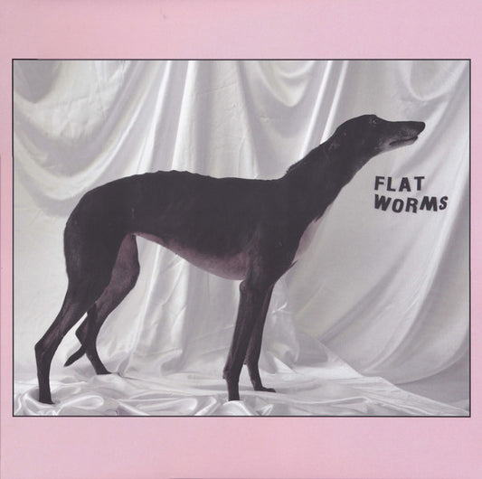 Flat Worms : Flat Worms (LP, Album)
