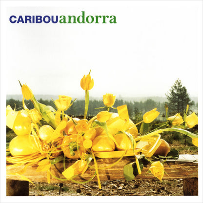 Caribou : Andorra (LP, Album, 180)