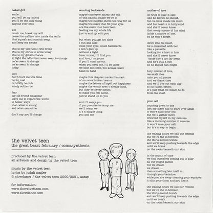 The Velvet Teen : Plus Minus Equals (CD, Comp)