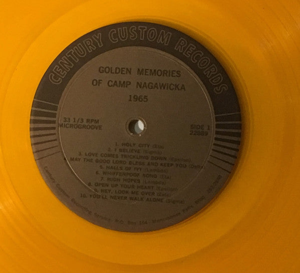 Unknown Artist : Golden Memories Of Camp Nagawicka 1965 (LP, Gol)