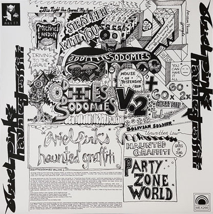 Ariel Pink's Haunted Graffiti : Odditties Sodomies Vol. 2 (LP, Comp)