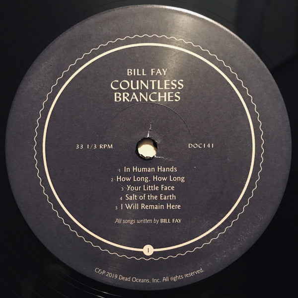 Bill Fay : Countless Branches (2xLP, Album, Dlx, Ltd)