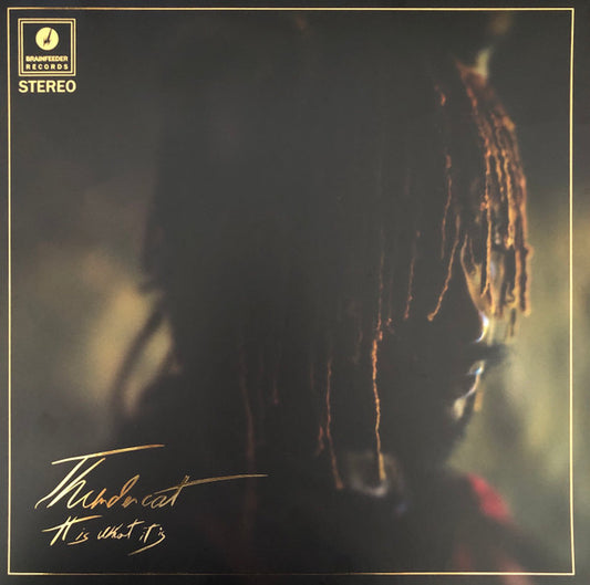 Thundercat : It Is What It Is (LP, Album, Dlx, Cle)