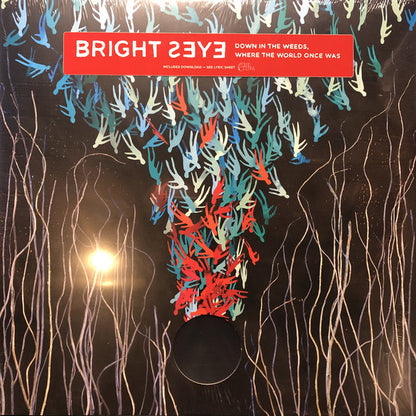 Bright Eyes : Down In The Weeds, Where The World Once Was (LP + LP, S/Sided, Etch + Album)