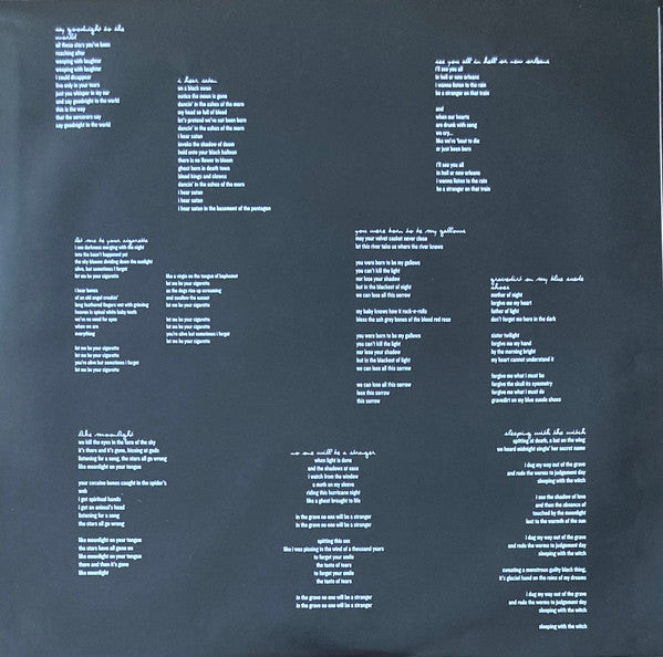 Dax Riggs : Say Goodnight To The World (LP, Album)