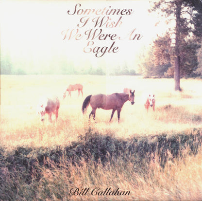 Bill Callahan : Sometimes I Wish We Were An Eagle (LP, Album)