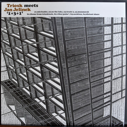 Triosk Meets Jan Jelinek : 1+3+1 (LP, Album, RE, RM)