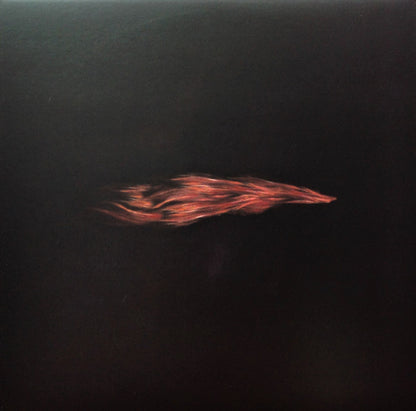 Swans : The Seer (3xLP, Album)