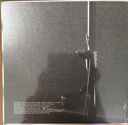 Joan Shelley : Ginko (LP, Album, Dlx, Ltd, RE, Gre)