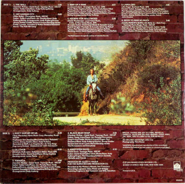 David Soul : David Soul (LP, Album, Ter)