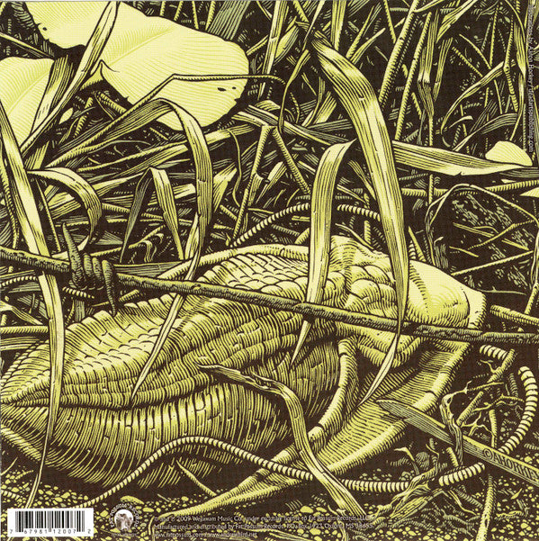Andrew Bird : Anonanimal B/W See The Enemy (7")