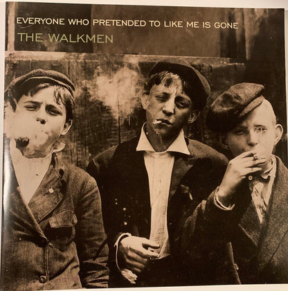 The Walkmen : Everyone Who Pretended To Like Me Is Gone (LP, Ltd, RM, RP)