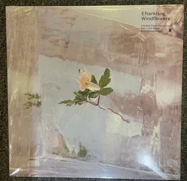 Efterklang : Windflowers (LP, Ltd, Cle)