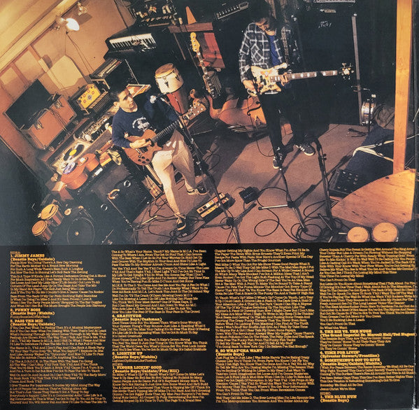 Beastie Boys - Check Your Head (2xLP, Album, RE, Gat)